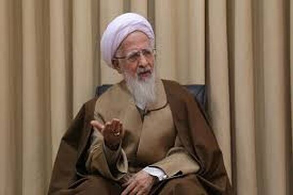 انتقاد تند یک مرجع تقلید از اقتصاد دستوری/ اقتصاد که راهپیمایی نیست با سفارش و دعوت حل شود