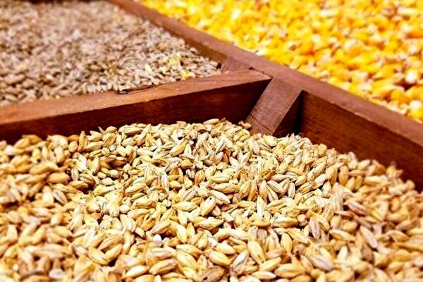 ضرورت اصلاح قیمت خرید تضمینی محصولات کشاورزی