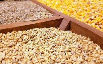 تخصیص ناچیز ارز برای واردات نهاده‌های دامی