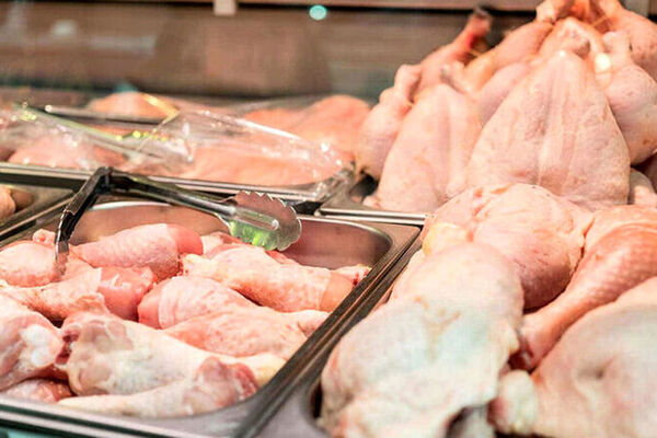 رقم صادرات گوشت مرغ در نیمه نخست سال چقدر است؟