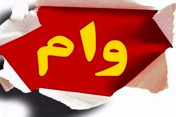 دریافت وام خرد باید با یک ضامن و بدون چک باشد