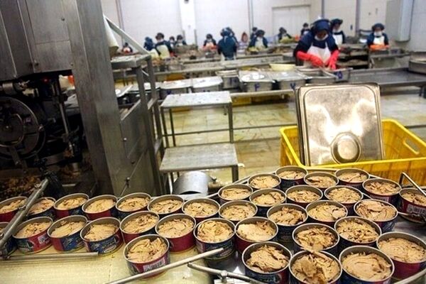 فروش ماهی تن صید داخل، 30 درصد گران‌تر از قیمت جهانی