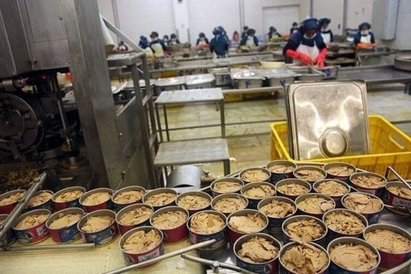 افزایش سه‌باره قیمت تن ماهی در9ماه امسال