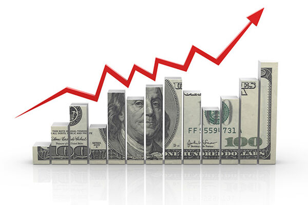 انتقاد تند نماینده مجلس از تیم اقتصادی دولت/ با این وضعیت دلار صد هزار می‌شود 