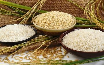 وضعیت عجیب بازار برنج/علت گرانی برنج پاکستانی چیست؟ 