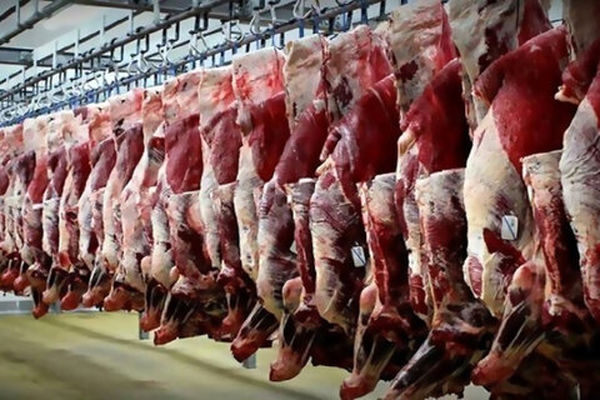 افزایش قیمت 63.5 درصدی گوشت شقه گوسفندی در سال گذشته