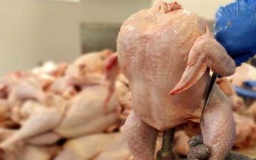 پیش بینی فائو از چشم‌انداز غذایی ایران / تولید گوشت مرغ کاهش یافت