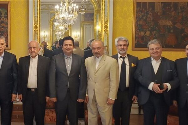 ظرفیت‌های بزرگی برای سرمایه گذاری مشترک ایران و فرانسه وجود دارد