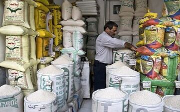 دامنه نوسان قیمت برنج ایرانی چند درصد است؟