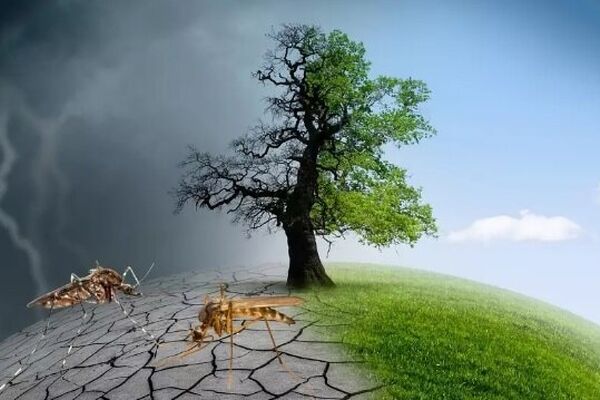 تبعات بی‌توجهی به تغییر اقلیم برای اقتصاد ایران