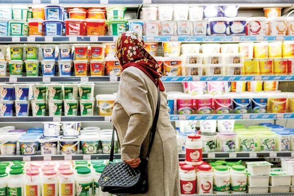 سوءاستفاده کارخانه‌های لبنی از حذف ارز ترجیحی/گرانی شدید لبنیات