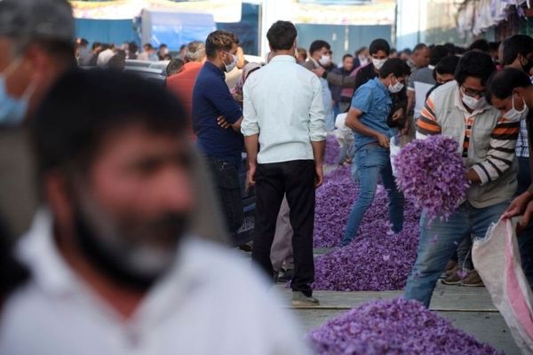 خروج ۱۰ تن زعفران قاچاق از کشور طی یک ماه
