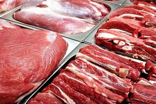 شناسایی علت نوسانات بازار گوشت/ قیمت دام زنده چه تغییری کرد؟ 