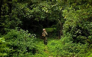 جزییات کشته شدن محیط بان گلستانی