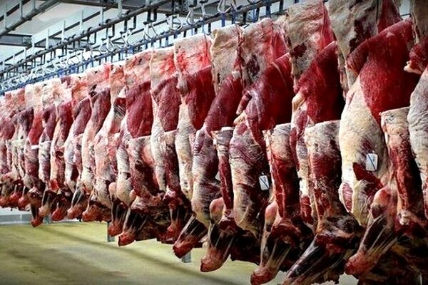 احتمال گرانی گوشت وجود دارد
