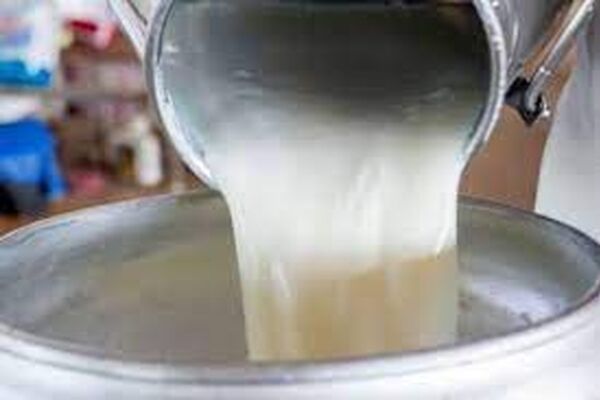 افزایش چندین باره قیمت محصولات لبنی 