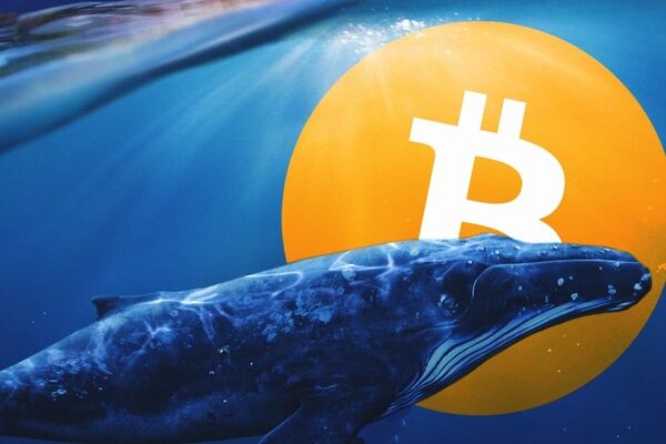 ETF‌های اسپات بیت کوین، طعمه‌ای جذاب برای نهنگ‌ها