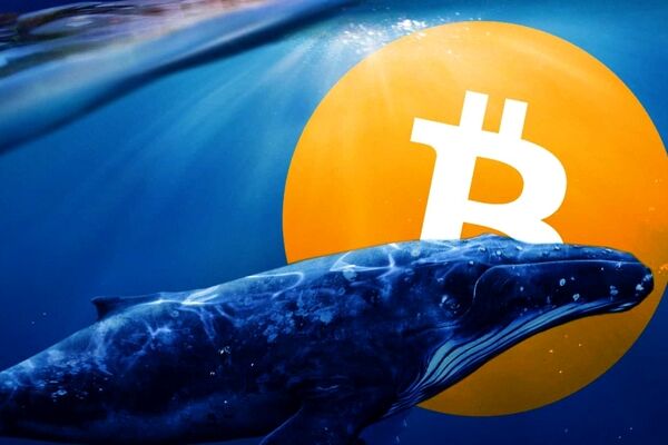 ETF‌های اسپات بیت کوین، طعمه‌ای جذاب برای نهنگ‌ها