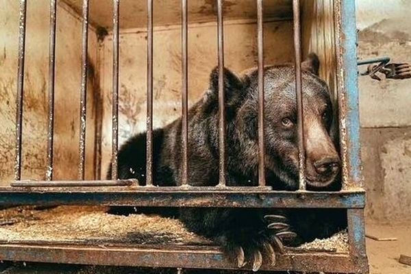 تضاد منافع پیمانکار و کارفرما در پروژه‌‌های حمل‌‌ونقل