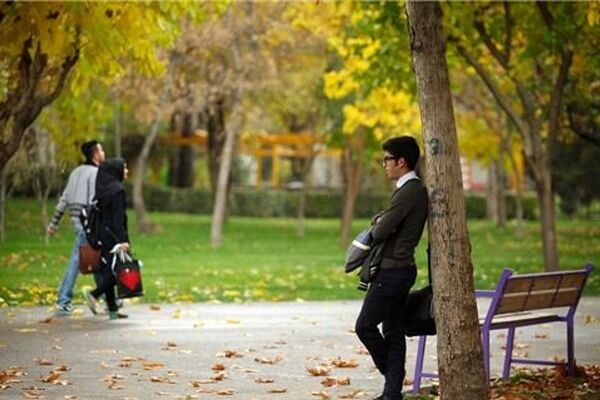 آمارهای تکان‌دهنده از خانواده های تک نفره ایرانی 