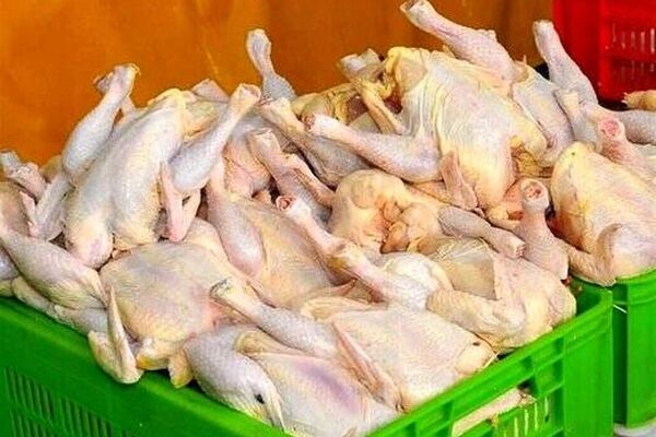 عقب نشینی قیمت مرغ/کاهش التهاب بازار گوشت