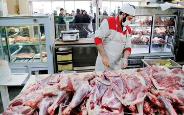 سیگنال مثبت دولت به بازار گوشت/قیمت گوشت قرمز کاهشی می‌شود؟