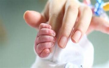 ارائه ۱۱ مرحله سبد غذایی رایگان در طرح یسنا 