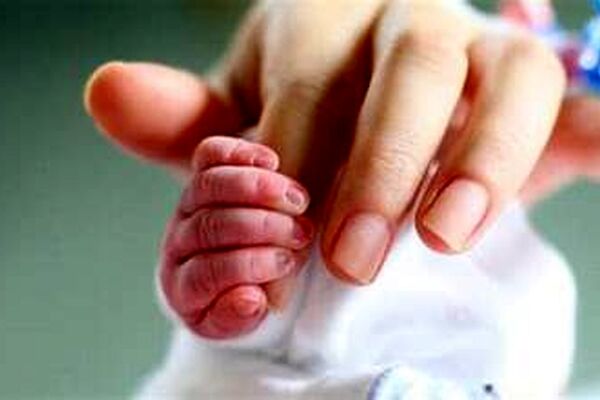 ارائه ۱۱ مرحله سبد غذایی رایگان در طرح یسنا 